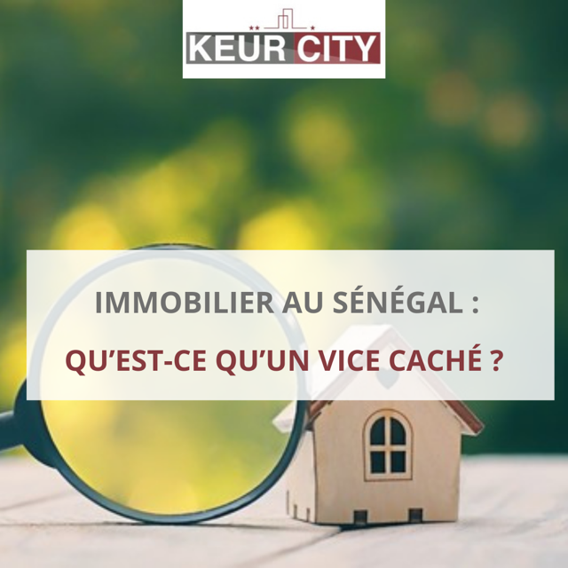 vice caché immobilier sénégal
