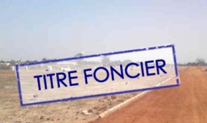 Immatriculation titre Sénégal